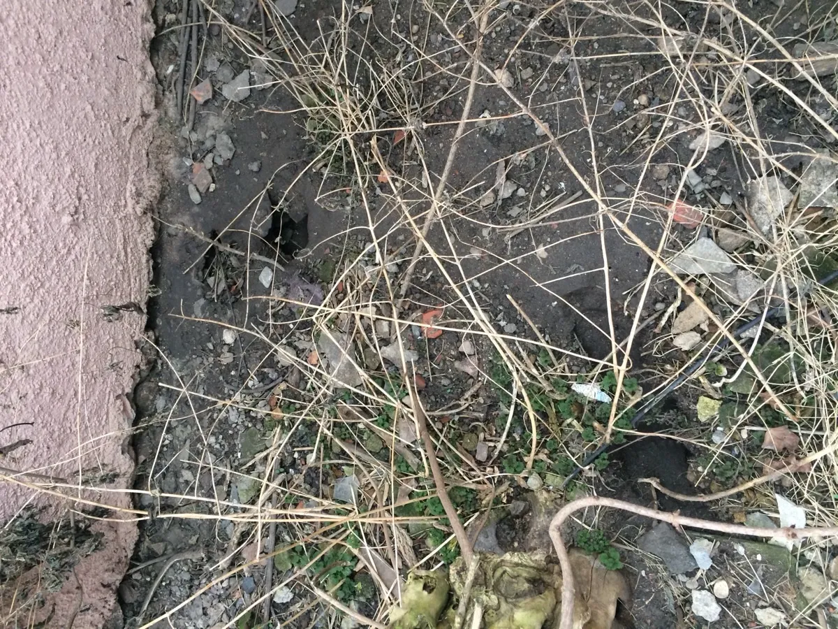 Hubení krtků — nory v zemi u základu budovy