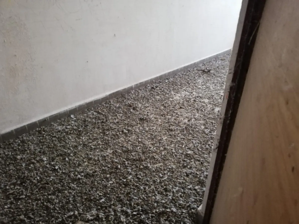 Holubí trus na půdě budovy